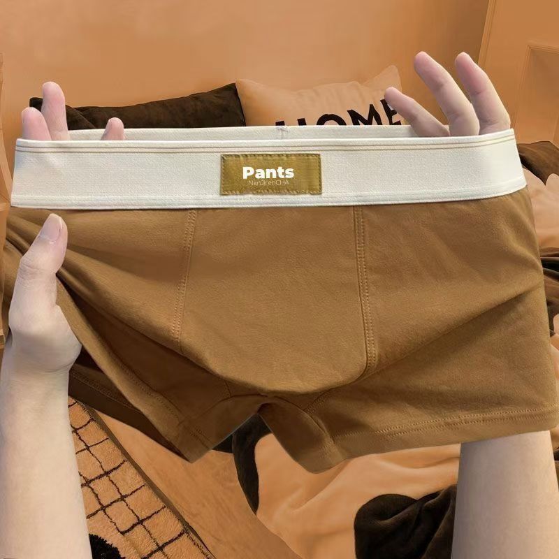 4 pcs Men Underwear Cotton BoxerShorts Hombre Panties Man Breathable Underpants Sexy Sports Comfort Male Boxers Large Size L-7XL