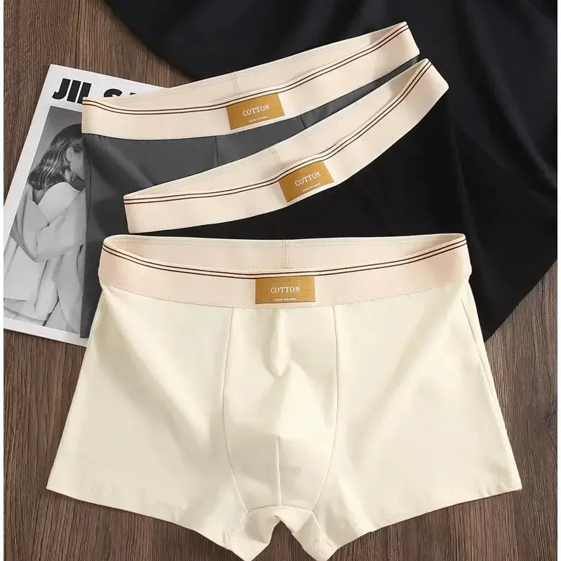 3Pcs Men's Underwear Hombre Panties Boxershorts Comfortable Breathable Cotton Underwear Sexy Underwear Solid Color Boxer Shorts