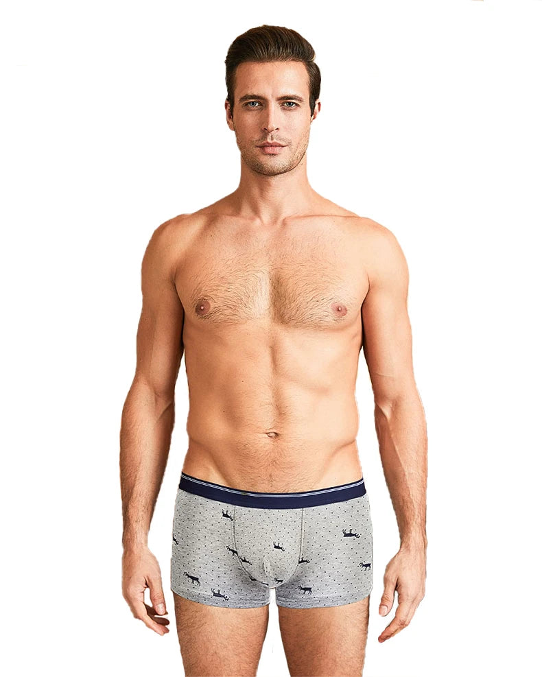 4pcs Men's Panties Sexy Shorts Cotton Underwear Male Breathable Boxers Solid Boxershorts Brand Underpants