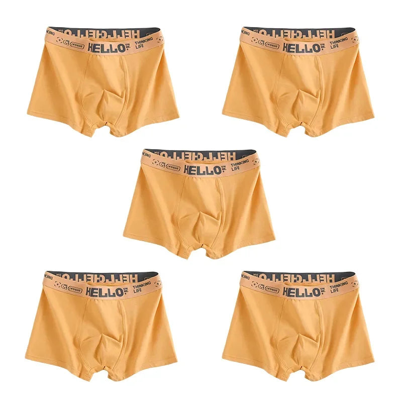 1/5pcs Men's Underwear, Breathable Comfy Quick Drying Stretchy Boxer Trunks, Sexy Underpants, Men's Trendy Boxer Panties