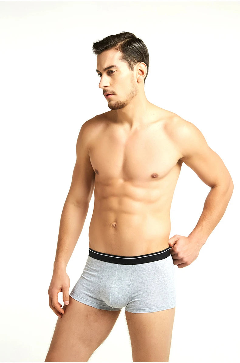 4pcs Men's Panties Sexy Shorts Cotton Underwear Male Breathable Boxers Solid Boxershorts Brand Underpants