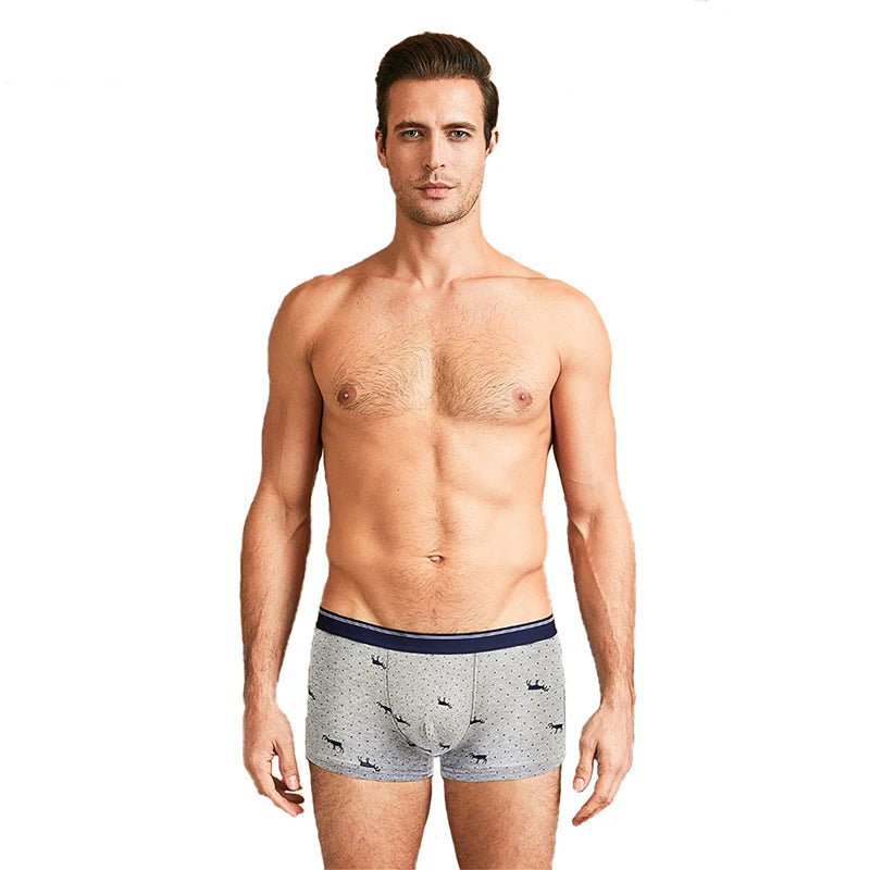 4pcs Men's Panties Sexy Shorts Cotton Underwear Male Breathable Boxers Solid Boxershorts Brand Underpants