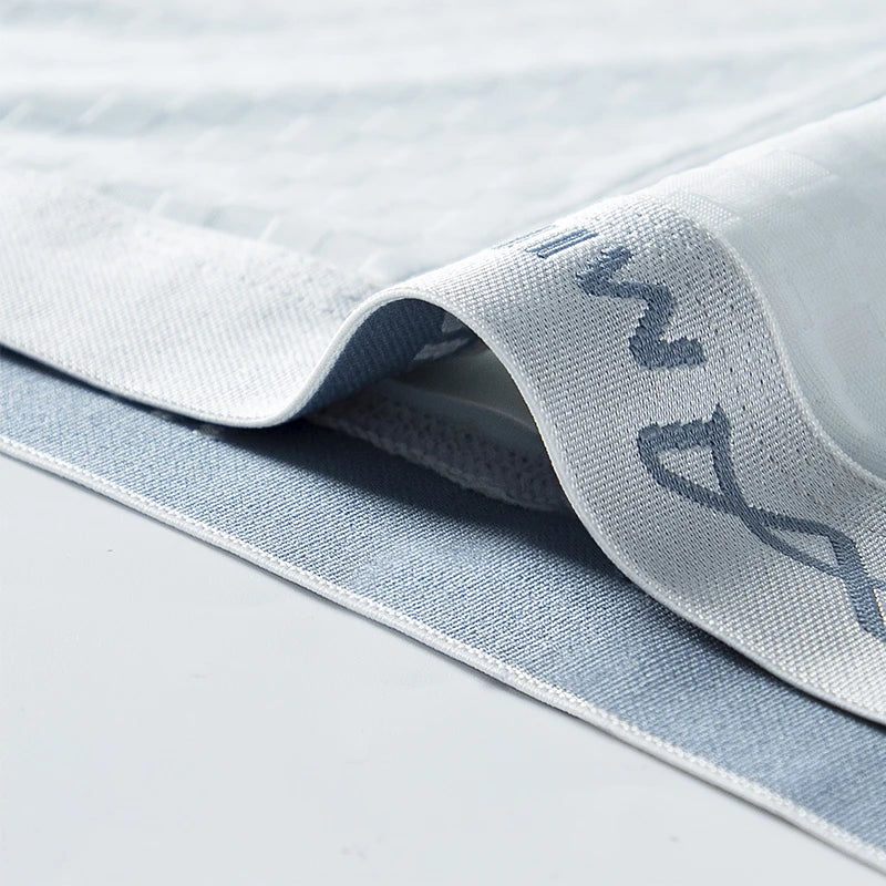 MiiOW 3Pcs Ice Silk Men Panties Mesh Breathable Mens Underpants 10A Antibacterial Crotch Men's Underwear Boxers Man Boxer Briefs