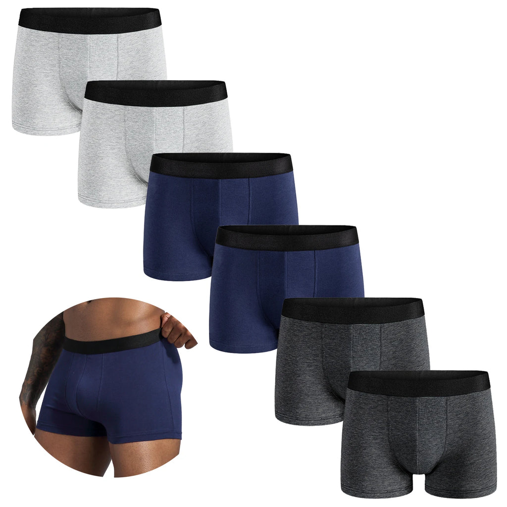 6pcs Pack 2024 Men Panties Cotton Underwear Male Brand Boxer And Underpants For Homme Luxury Set Shorts Box Slip Kit
