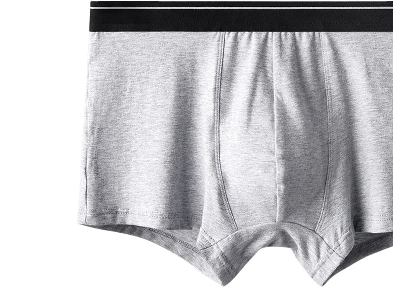 4pcs Men's Panties Sexy Shorts Cotton Underwear Male Breathable Boxers Solid Boxershorts Brand Underpants