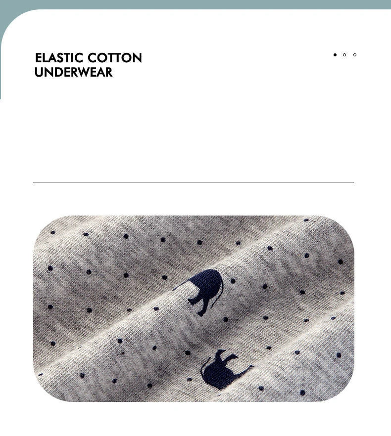 4pcs Men's Panties Sexy Shorts Cotton Underwear Male Breathable Boxers Solid Boxershorts Brand Underpants