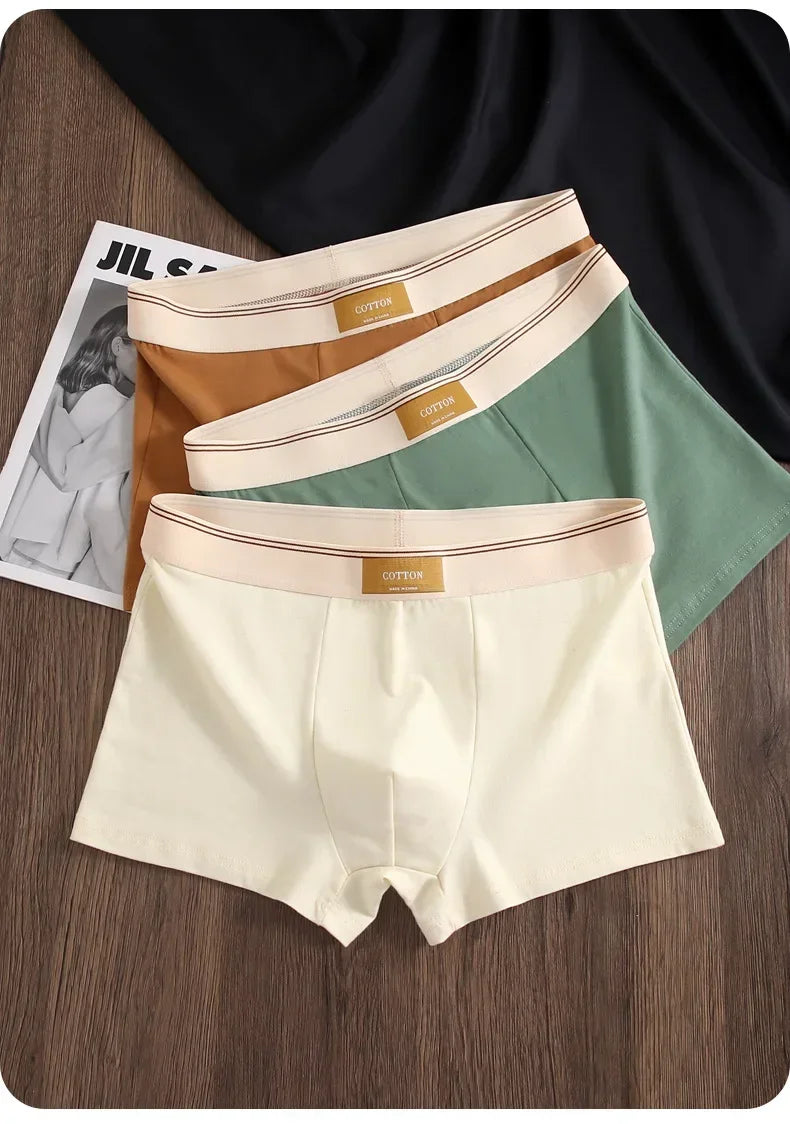 3Pcs Men's Underwear Hombre Panties Boxershorts Comfortable Breathable Cotton Underwear Sexy Underwear Solid Color Boxer Shorts