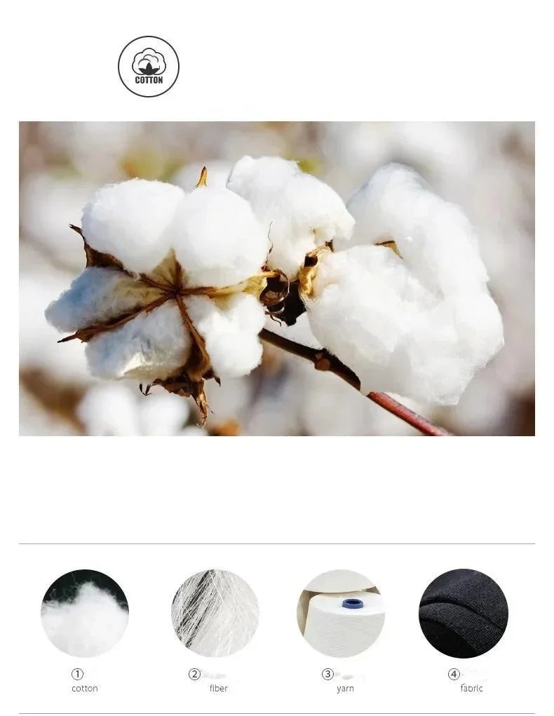 20Pcs/Lot Men's Pure Cotton Socks Plus Size Solid Color Casual Office Business Long Socks Breathable Soft Men's Socks EU39-48