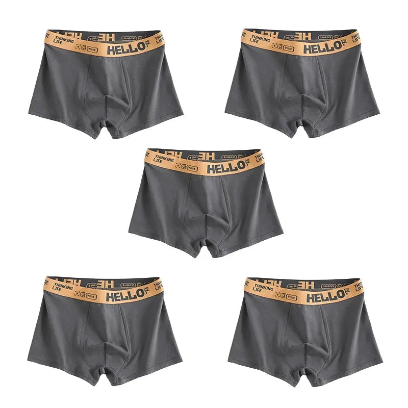 1/5pcs Men's Underwear, Breathable Comfy Quick Drying Stretchy Boxer Trunks, Sexy Underpants, Men's Trendy Boxer Panties